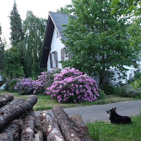 Privatzimmer Im Landhaus Mit Grossem Garten Und Parkplatz Apartment Reckershausen Ngoại thất bức ảnh